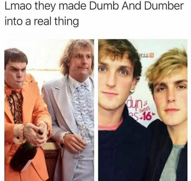 funny picdump 52 pics 11.html - 52 HD Photos | Premium Gallery 2018