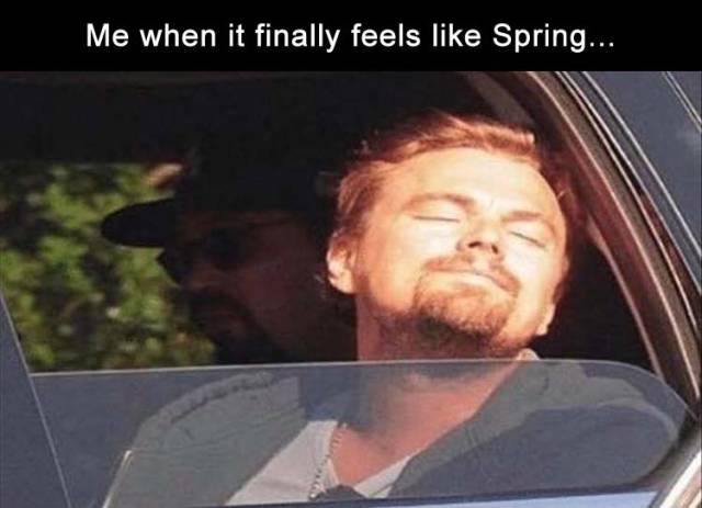 funny picdump 52 pics 11.html - 52 HD Photos | Premium Gallery 2018