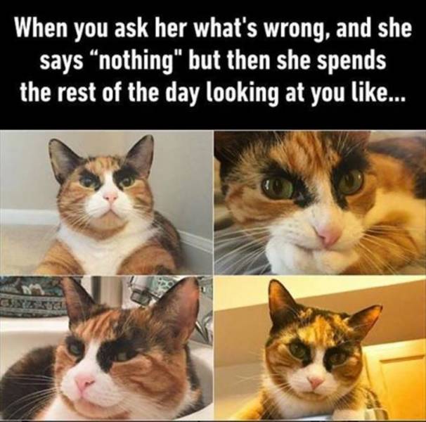 funny picdump 52 pics 11.html - 52 HD Photos | Premium Gallery 2018