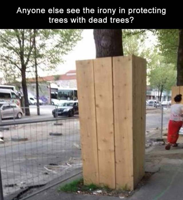funny picdump 52 pics 11.html - 52 HD Photos | Premium Gallery 2018