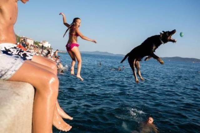 daily picdump weekend edition 52 pics 15.html - 52 HD Photos | Premium Gallery 2018