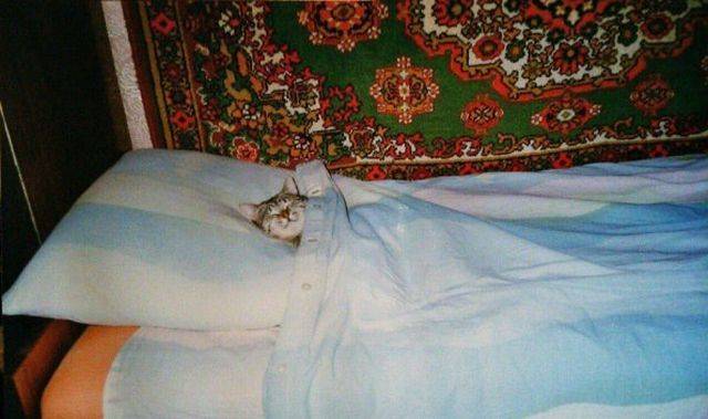 Daily Picdump