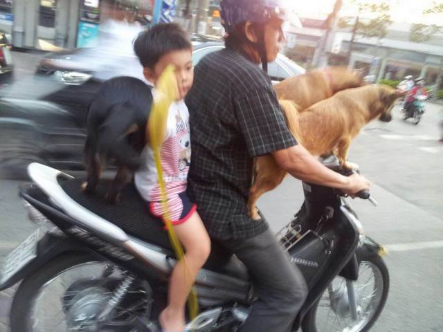Daily Picdump