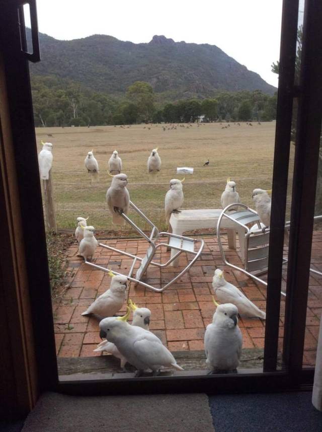 Daily Picdump
