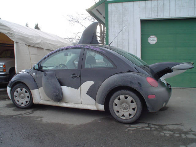 morning picdump 54 pics 8.html - 54 HD Photos | Premium Gallery 2018