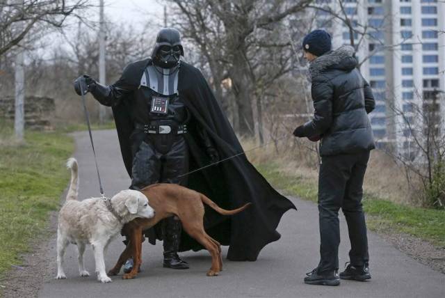 daily picdump weekend edition 74 pics 16.html - 74 HD Photos | Premium Gallery 2018