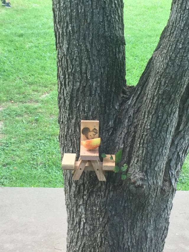 morning picdump 50 pics 11.html - 50 HD Photos | Premium Gallery 2018