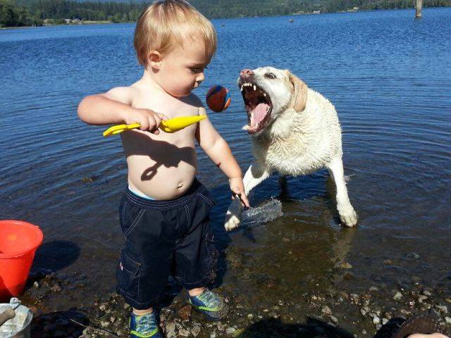 morning picdump 50 pics 11.html - 50 HD Photos | Premium Gallery 2018