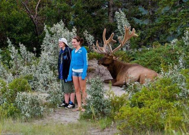 Daily Picdump