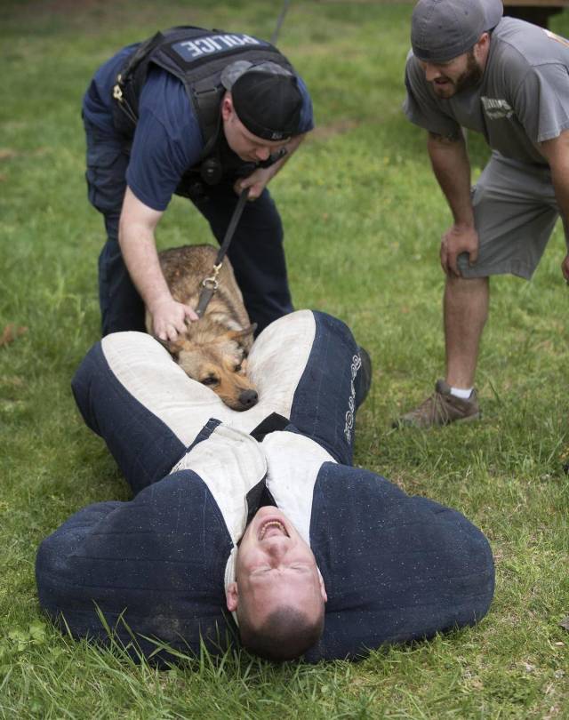 Daily Picdump