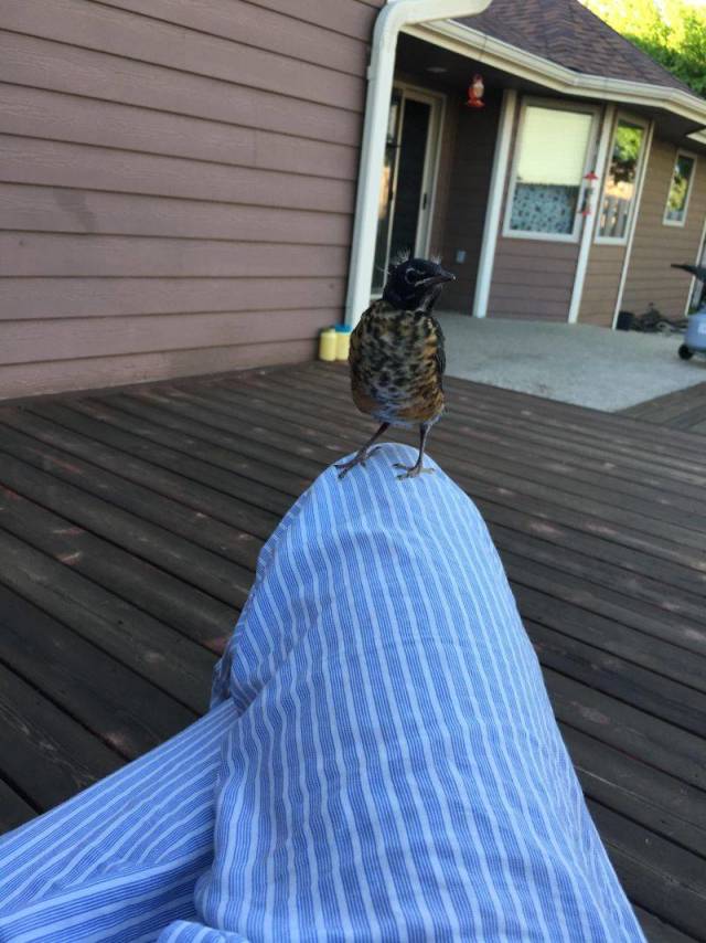 daily picdump 99 pics 45.html - 99 HD Photos | Premium Gallery 2018