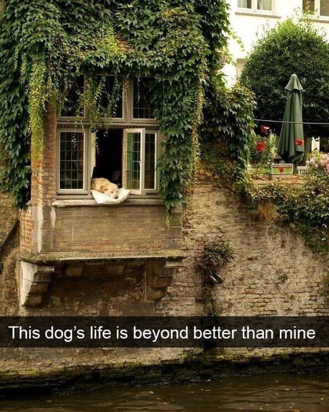 Daily Picdump [WEEKEND EDITION]