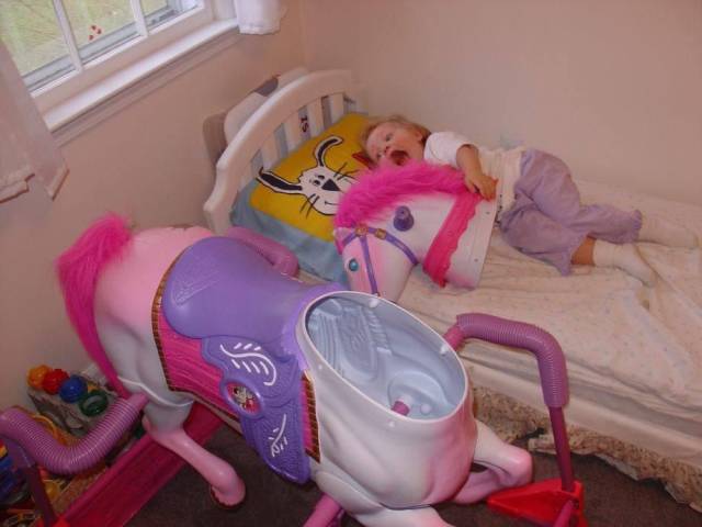 Daily Picdump