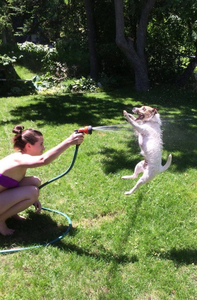 Daily Picdump