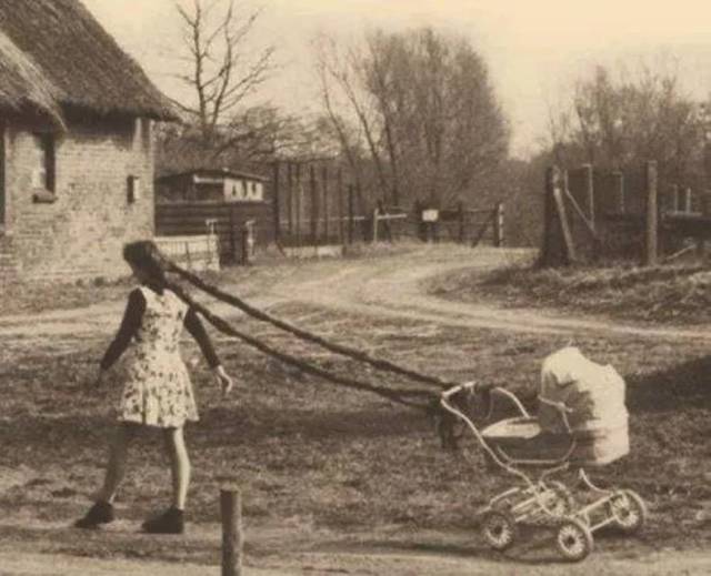 Hard-to-explain WTF Photos