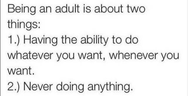 Being Adult Brings New Memes To The Table