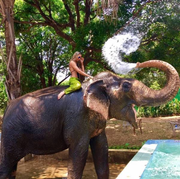 daily picdump 98 pics 17.html - 98 HD Photos | Premium Gallery 2018