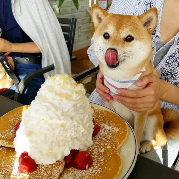 daily picdump 98 pics 17.html - 98 HD Photos | Premium Gallery 2018