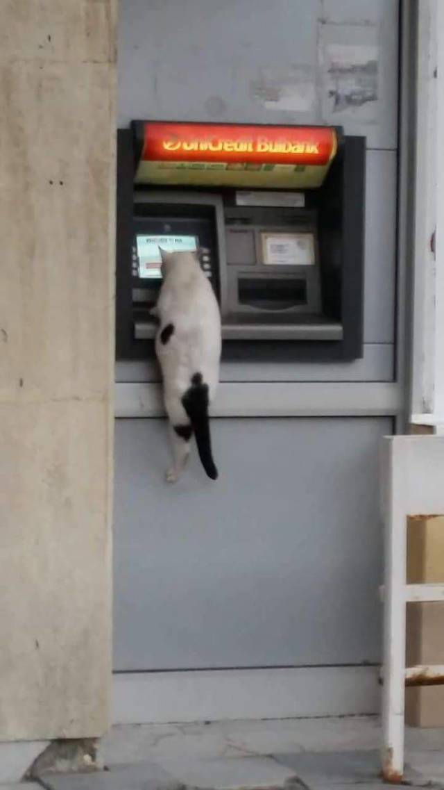 daily picdump 98 pics 17.html - 98 HD Photos | Premium Gallery 2018