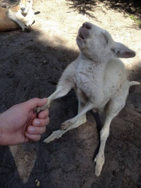 Morning Picdump