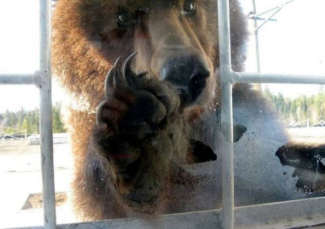 Morning Picdump