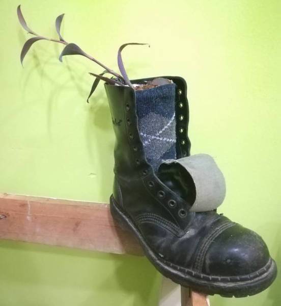morning picdump 50 pics 11.html - 50 HD Photos | Premium Gallery 2018