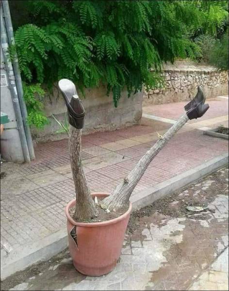 morning picdump 50 pics 11.html - 50 HD Photos | Premium Gallery 2018