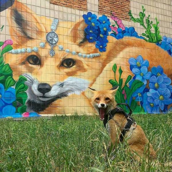 daily picdump weekend edition 72 pics 15.html - 72 HD Photos | Premium Gallery 2018