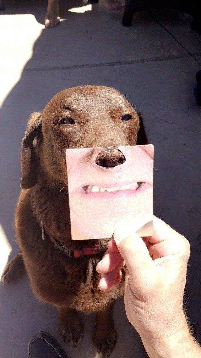 daily picdump weekend edition 72 pics 15.html - 72 HD Photos | Premium Gallery 2018