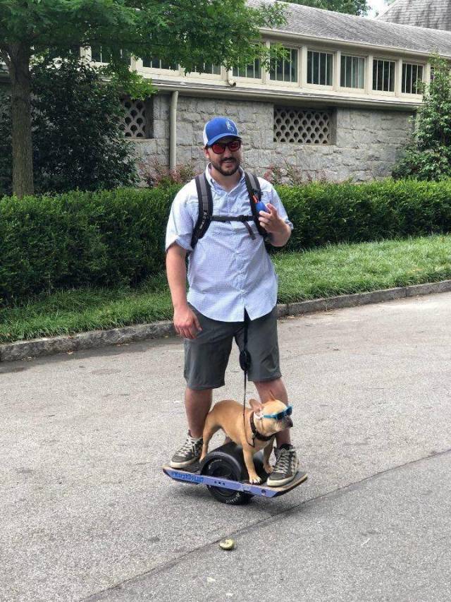 daily picdump weekend edition 72 pics 15.html - 72 HD Photos | Premium Gallery 2018