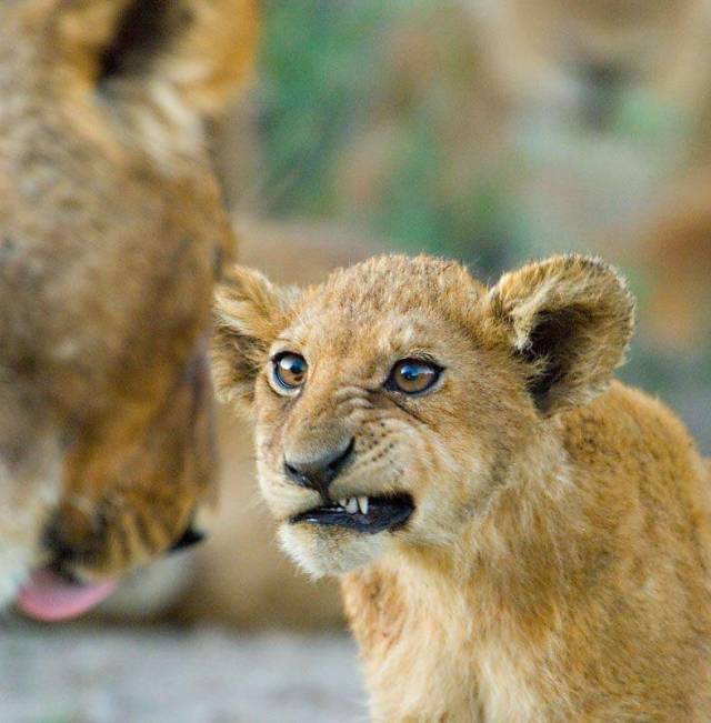 daily picdump weekend edition 72 pics 15.html - 72 HD Photos | Premium Gallery 2018