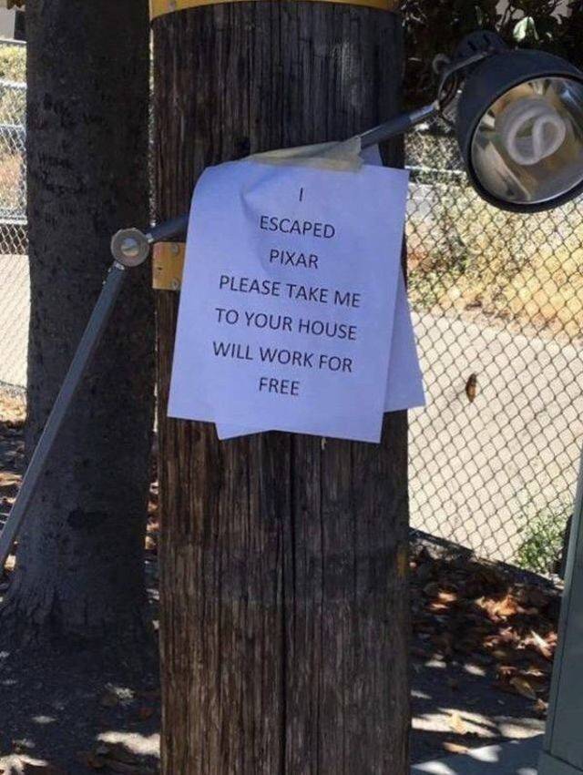 daily picdump weekend edition 72 pics 15.html - 72 HD Photos | Premium Gallery 2018