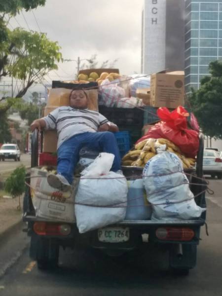 funny picdump 51 pics 4.html - 51 HD Photos | Premium Gallery 2018