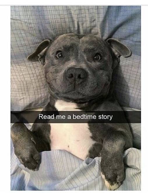 Funny Picdump