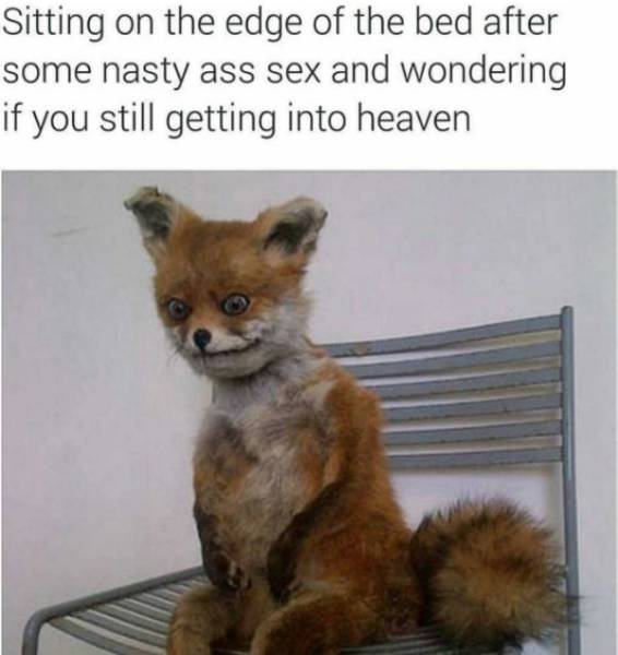 Sex Memes Always Make It Hotter
