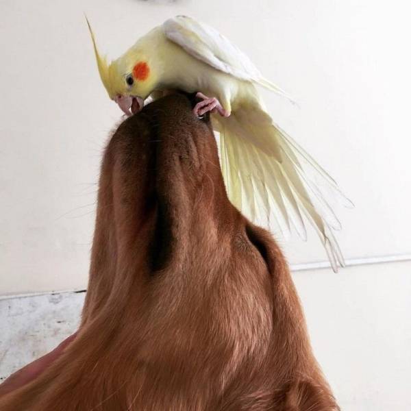 morning picdump 59 pics 5.html - 59 HD Photos | Premium Gallery 2018