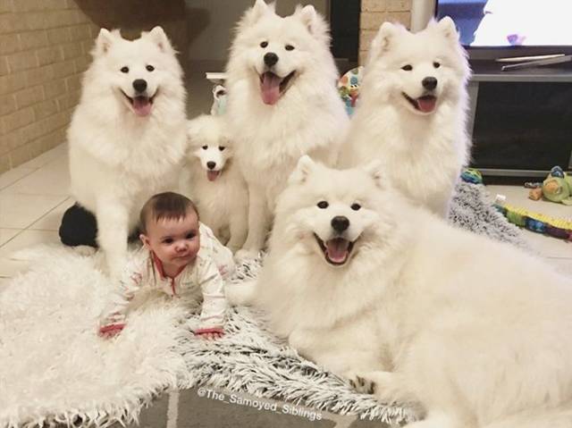 morning picdump 59 pics 5.html - 59 HD Photos | Premium Gallery 2018