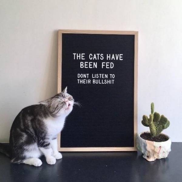 daily picdump 91 pics 24.html - 91 HD Photos | Premium Gallery 2018