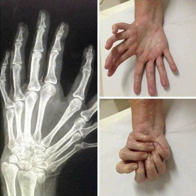 daily picdump 91 pics 24.html - 91 HD Photos | Premium Gallery 2018