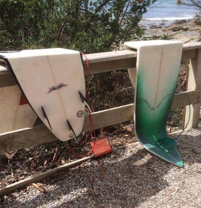 daily picdump 91 pics 24.html - 91 HD Photos | Premium Gallery 2018