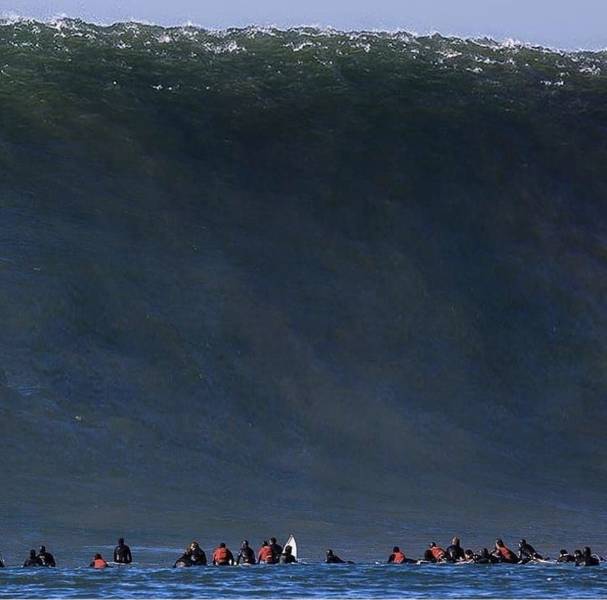 Daily Picdump [WEEKEND EDITION]