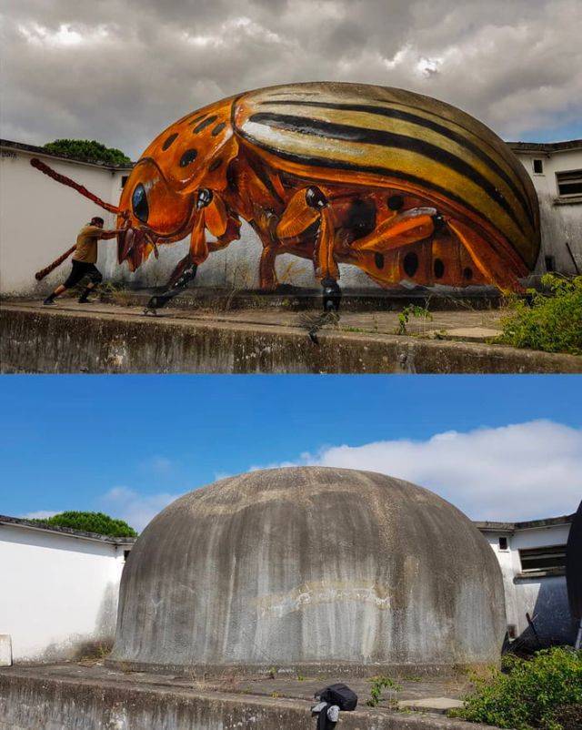 Street Art That Almost Looks Real