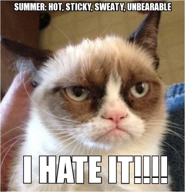 Summer Memes Are Pretty Hot!