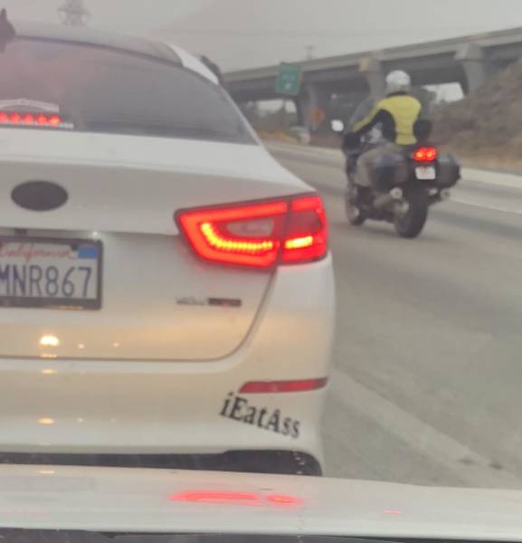 morning picdump 51 pics 21.html - 51 HD Photos | Premium Gallery 2018