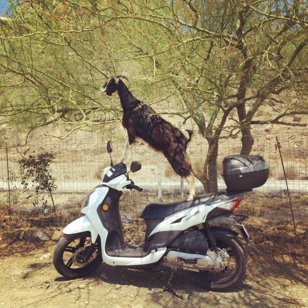 Daily Picdump