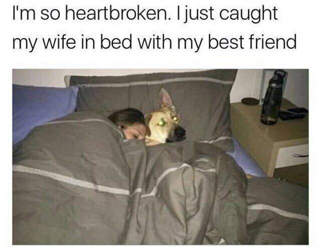 Funny Picdump