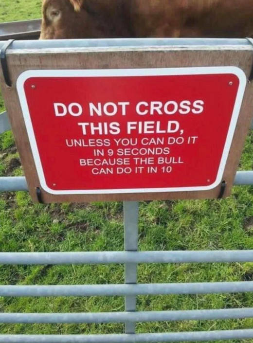 Funny Picdump