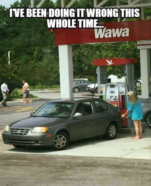 funny picdump 52 pics 3.html - 52 HD Photos | Premium Gallery 2018