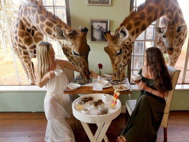 Daily Picdump