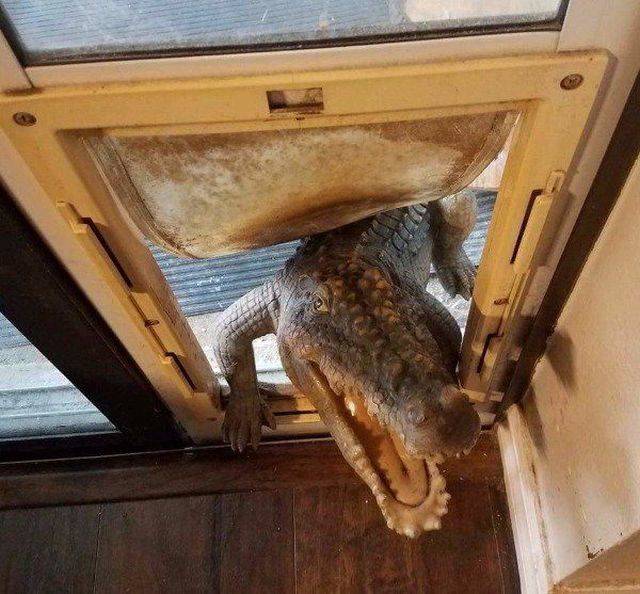 daily picdump 100 pics 29.html - 100 HD Photos | Premium Gallery 2018